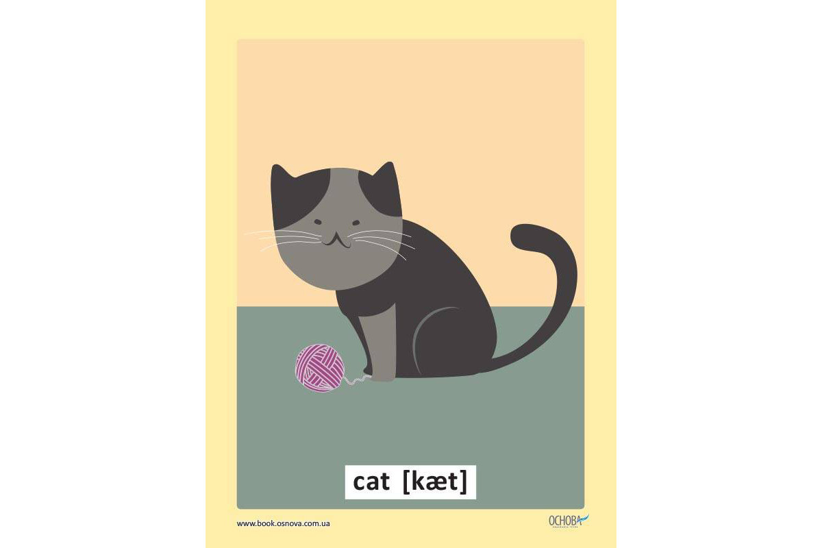 Демонстрационные флэш-карочки Английский язык ЗПП051 двусторонние