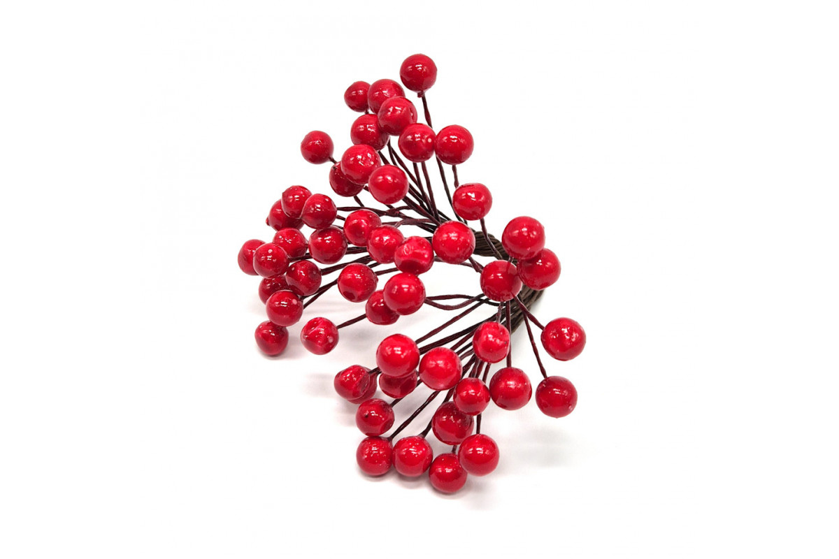 Декоративна Калина лакова для творчості Bambi KL-25, 8 мм, 25 гілочок.