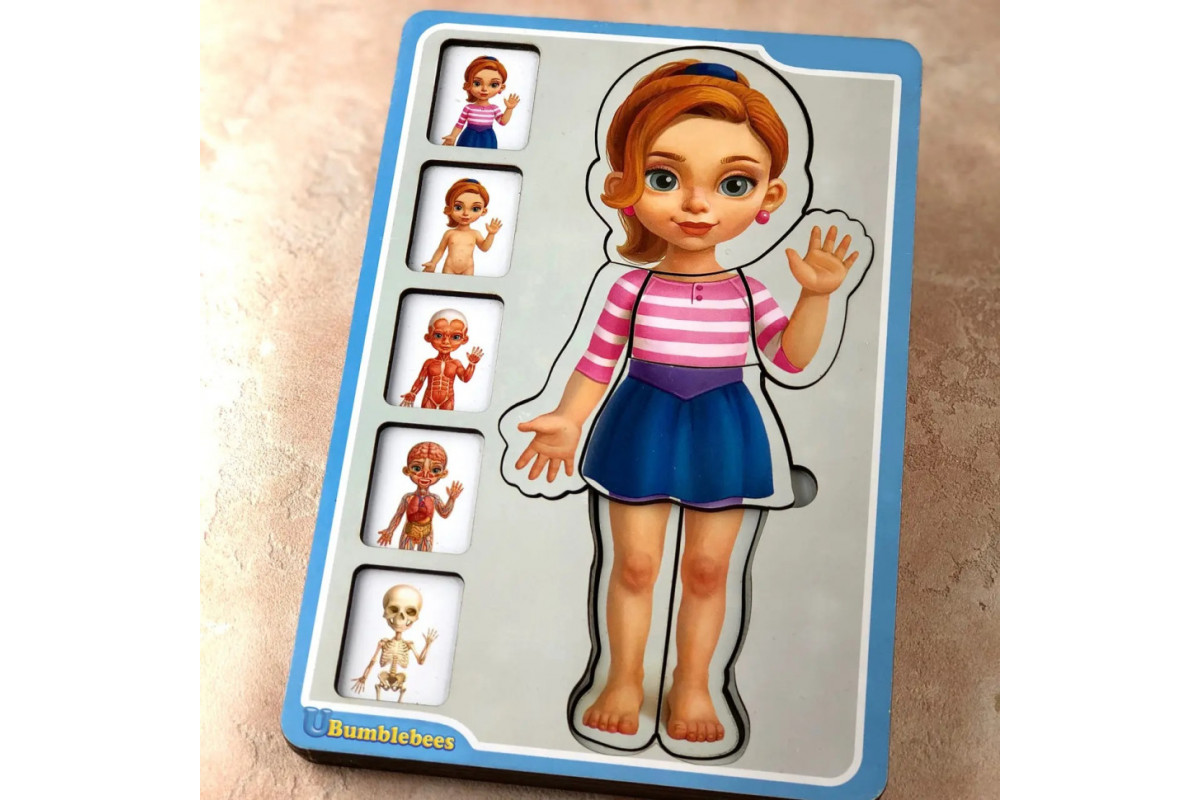 Деревянный пазл-вкладыш "Анатомия человека – девочка" Ubumblebees (ПСФ025) PSF025 строение тела