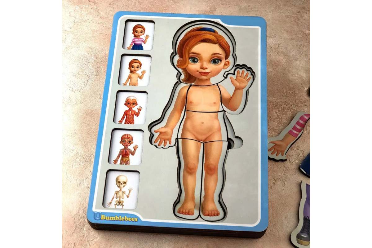 Деревянный пазл-вкладыш "Анатомия человека – девочка" Ubumblebees (ПСФ025) PSF025 строение тела