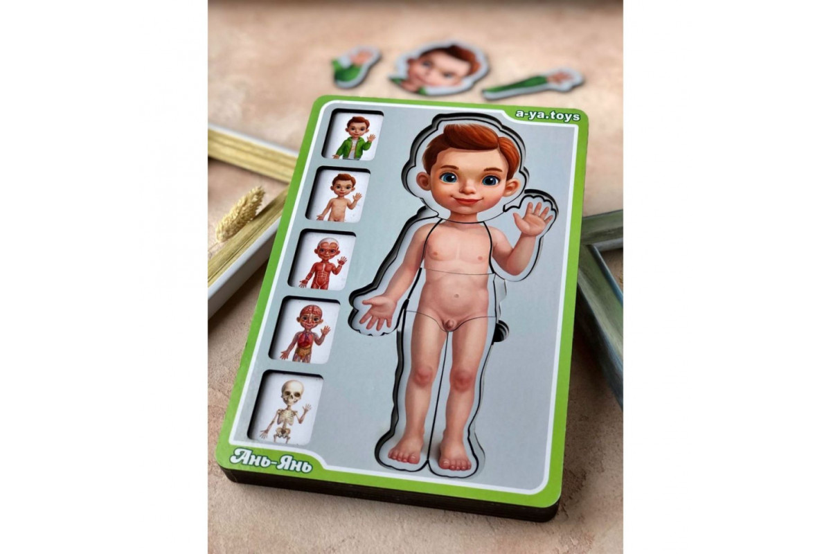 Дерев'яний пазл-вкладиш "Анатомія людини – хлопчик" Ubumblebees (ПСФ026) PSF026 будова тіла