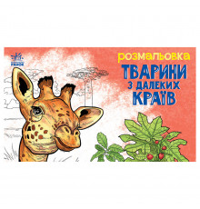 Детская раскраска "Животные в дальних краях" 583009, 16 страниц