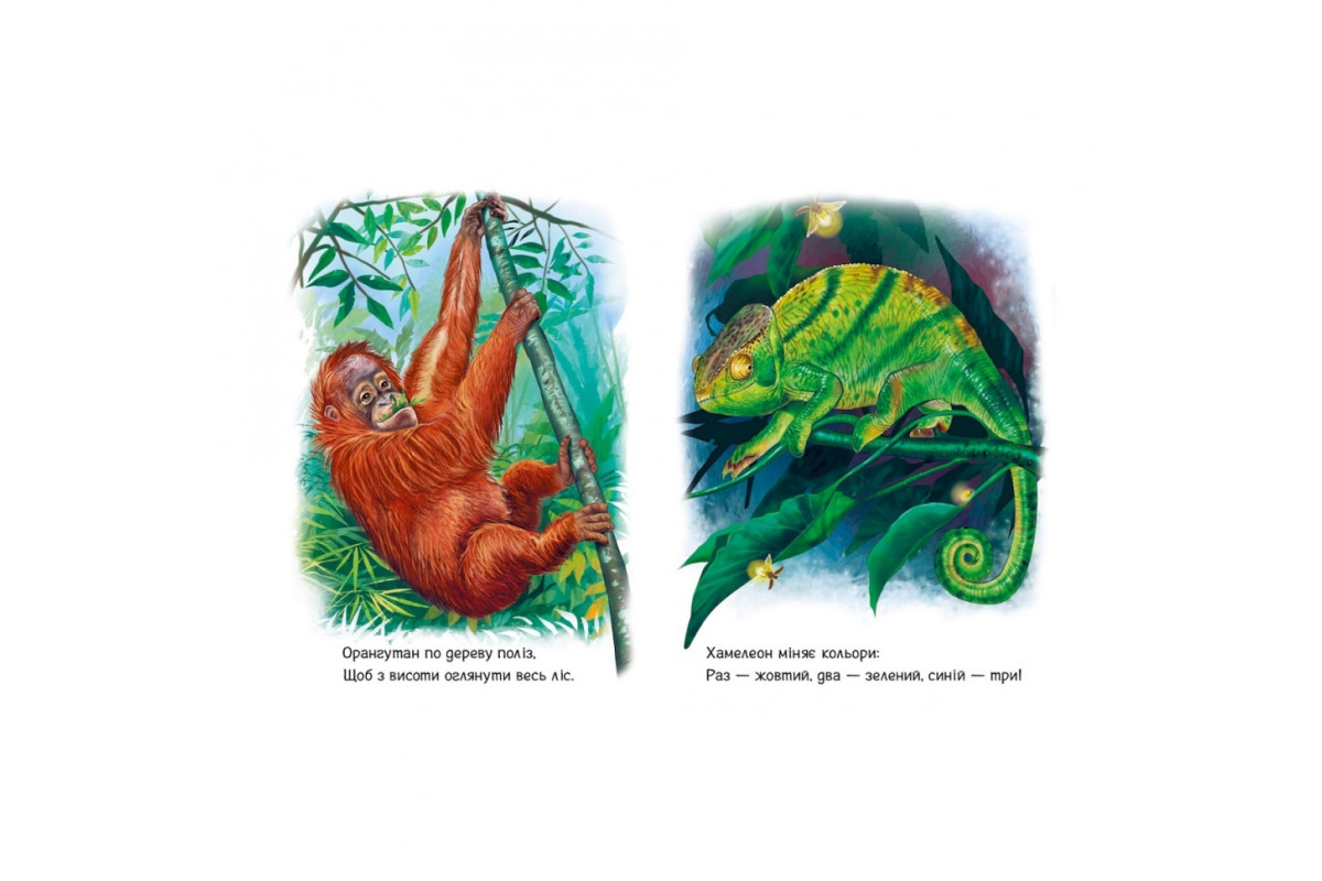 Малюкам про звірят "Лісові звірята" 212015 збірка з аудіосупроводом