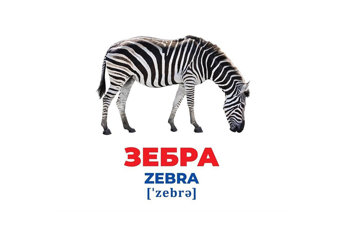 Набор развивающих карточек Гений с пеленок "Животные разных широт" 10107200, 17 карточек