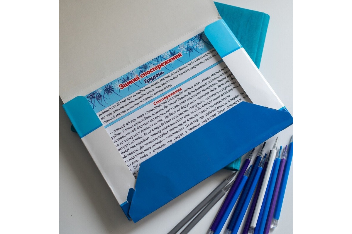 Дидактичний матеріал "Зимові спостереження" 13107147, 16 карток