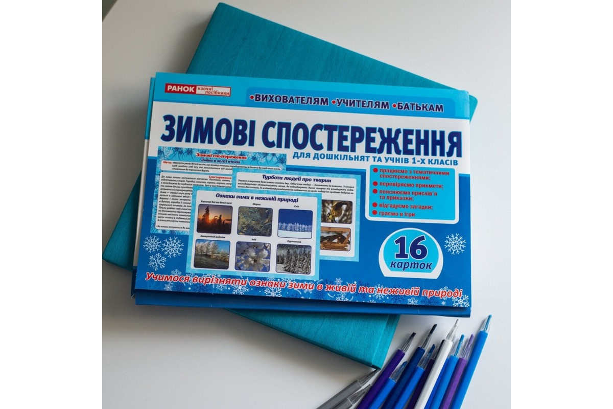 Дидактичний матеріал "Зимові спостереження" 13107147, 16 карток