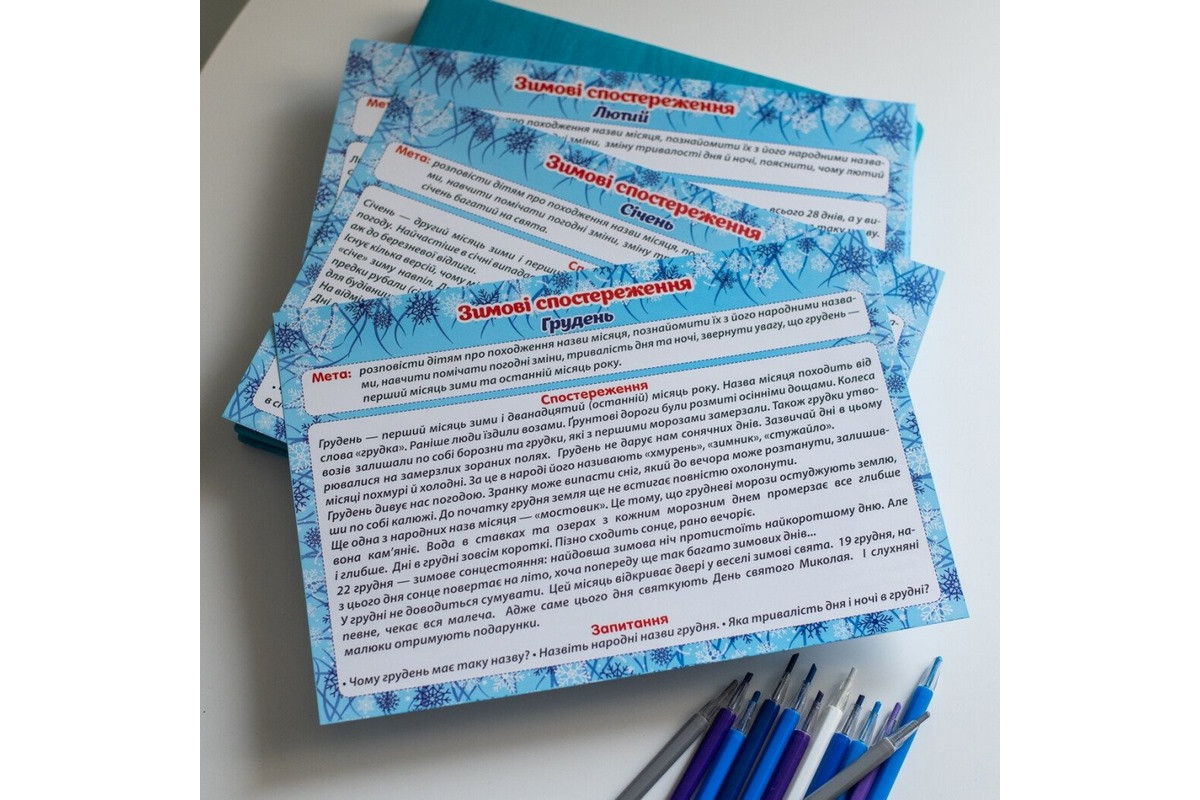 Дидактичний матеріал "Зимові спостереження" 13107147, 16 карток