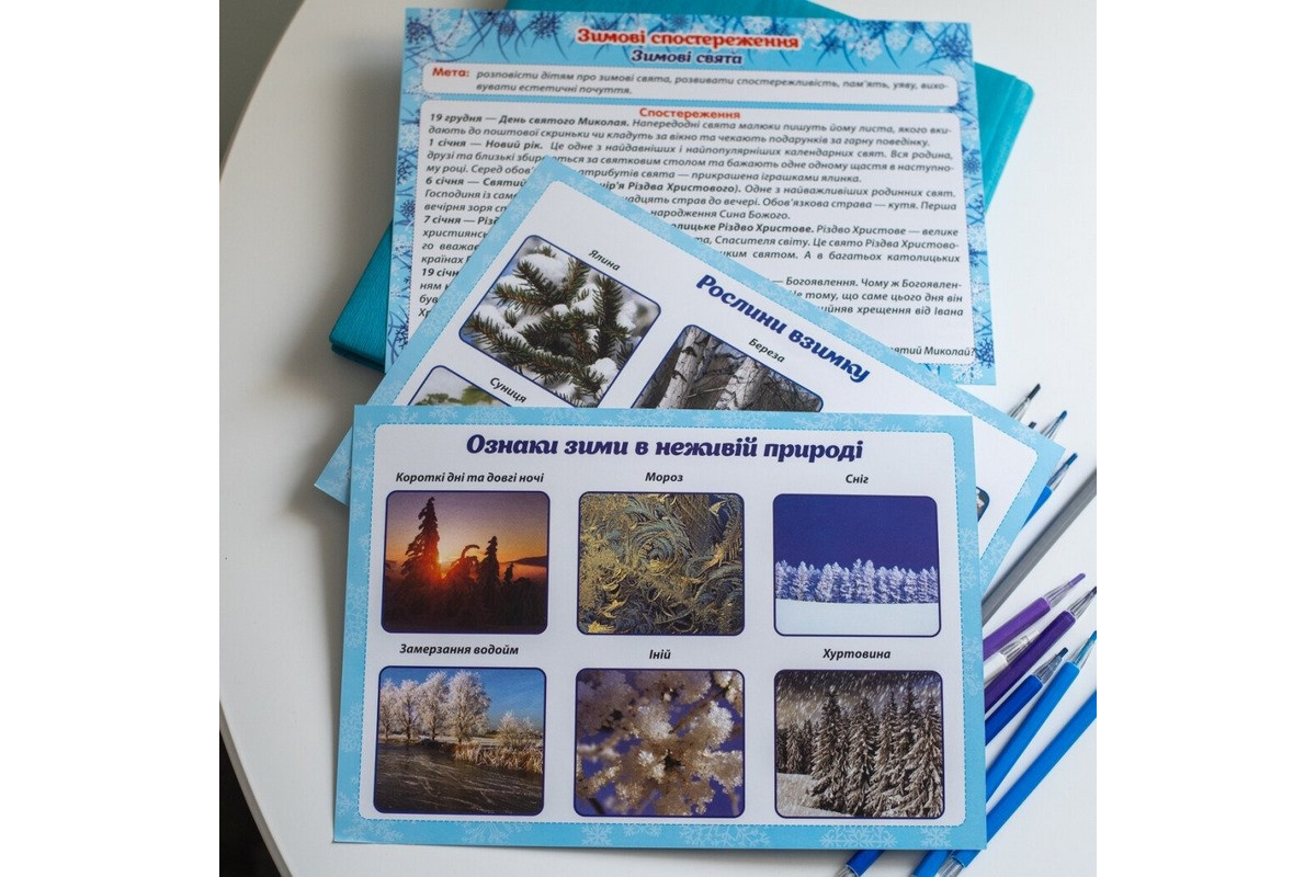 Дидактичний матеріал "Зимові спостереження" 13107147, 16 карток