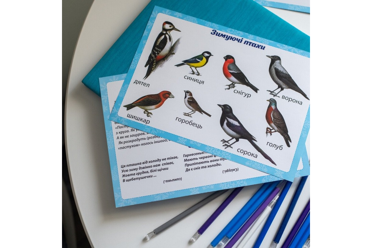 Дидактичний матеріал "Зимові спостереження" 13107147, 16 карток