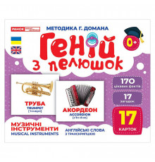 Набор развивающих карточек Гений с пеленок "Музыкальные инструменты"  10107203, 17 карточек
