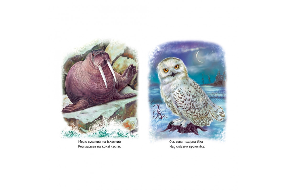 Малюкам про звірят "Тварини світу" 212014 збірка з аудіосупроводом