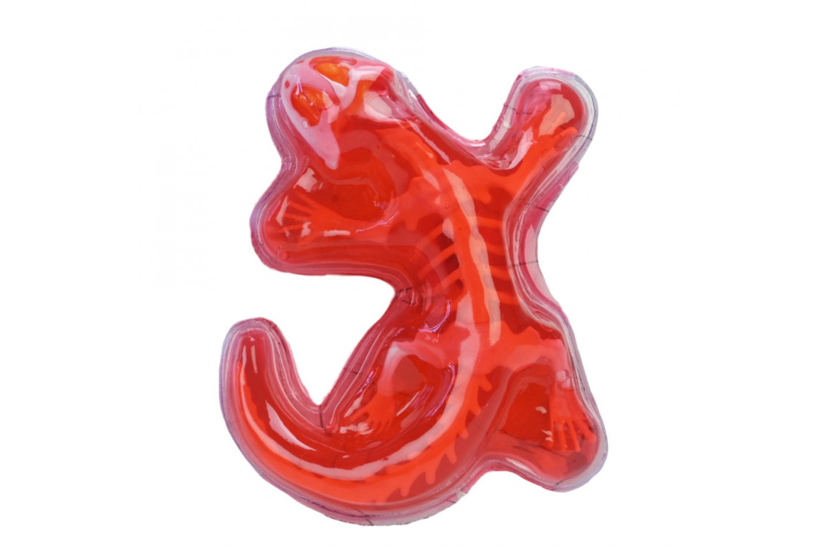 Детский лабораторный набор Ящерица 803B, скелет, внутренние органы