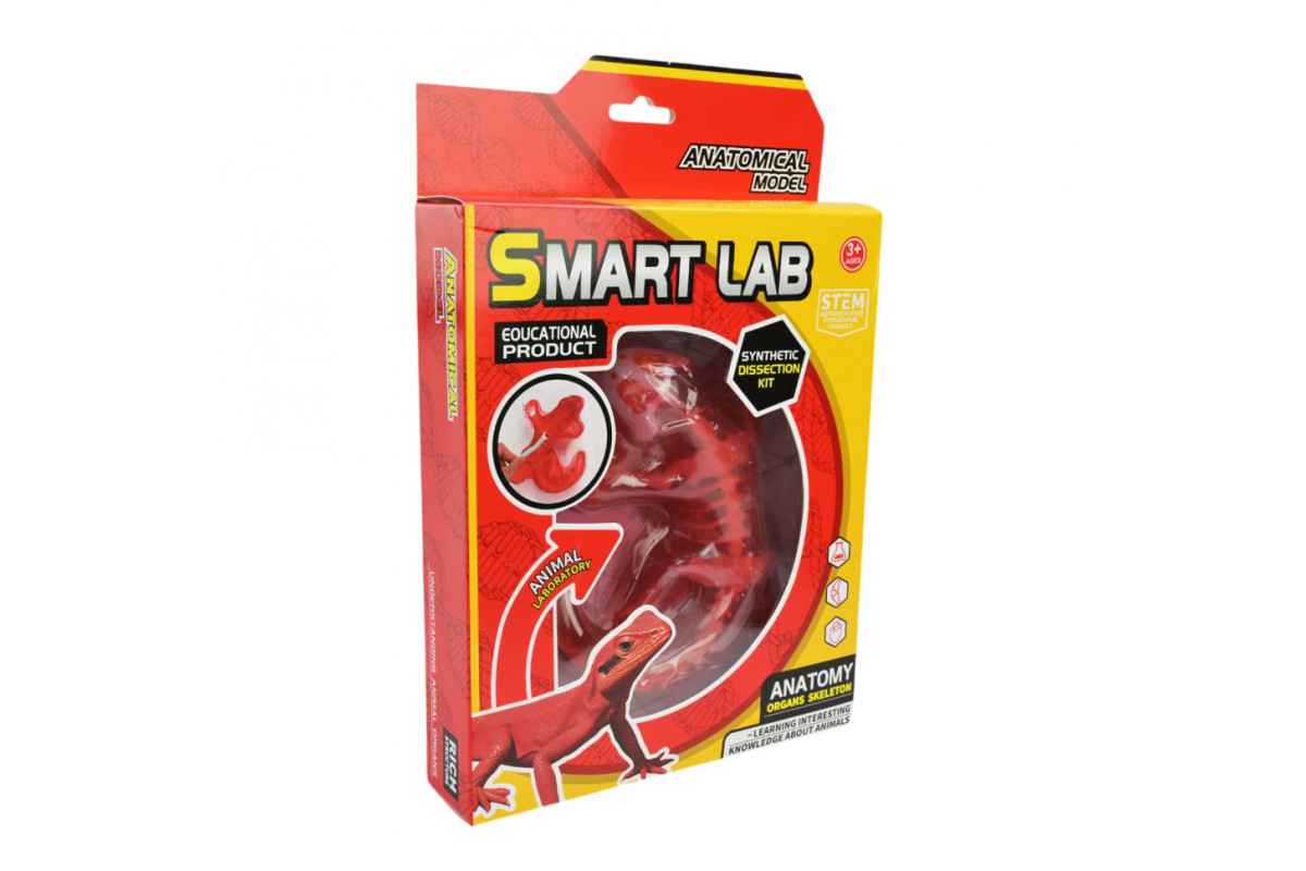 Детский лабораторный набор Ящерица 803B, скелет, внутренние органы