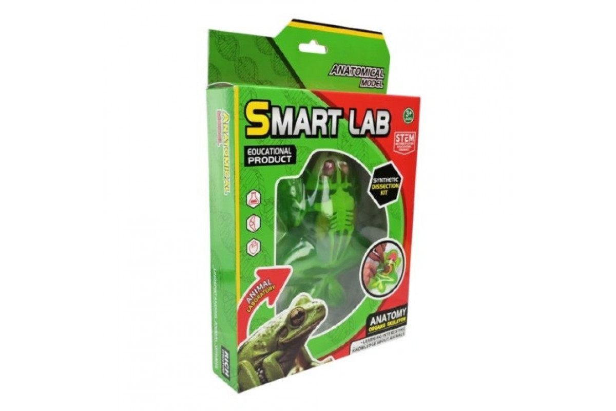 Детский лабораторный набор Лягушка 801B, скелет, внутренние органы