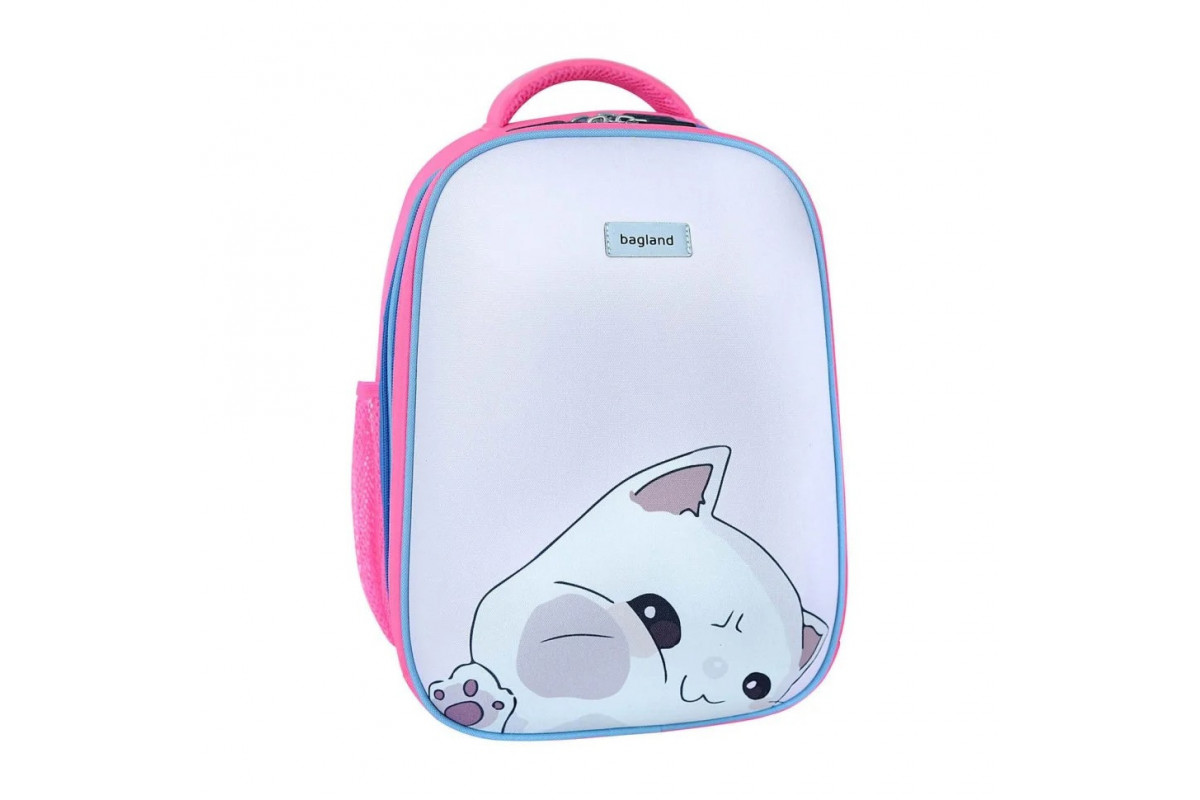 Рюкзак школьный Turtle Bagland 736919175 объем 17 л