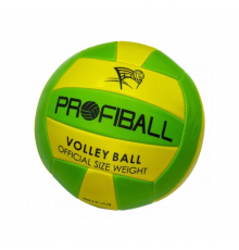 Мяч волейбольный EV-3159 20,7 см Зеленый-желтый