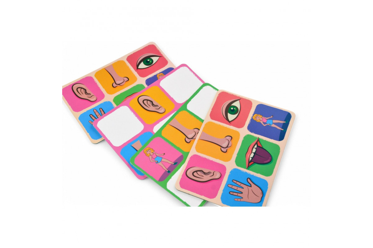 Детское лото "Органы чувств" 2279-UM 4 поля, 48 фишек