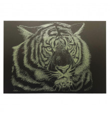 Гравюра А4 "Тигр" ГрА4-5з эконом вариант в пакете 29,7х21 см